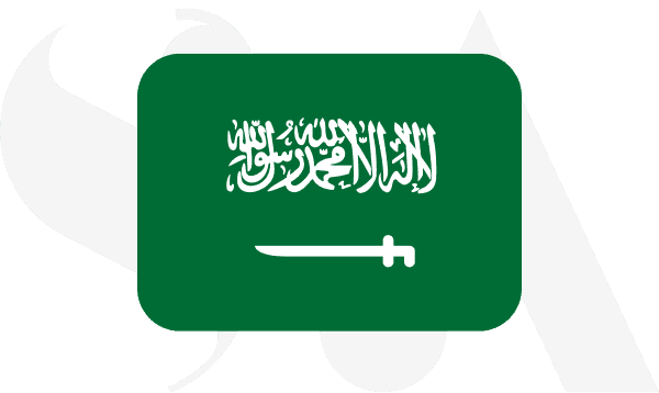 hire developers in saudi arabia