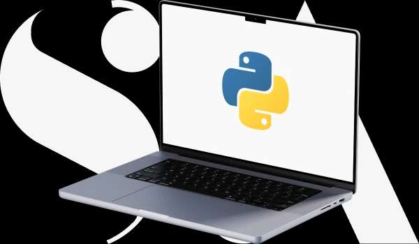 remote python developers