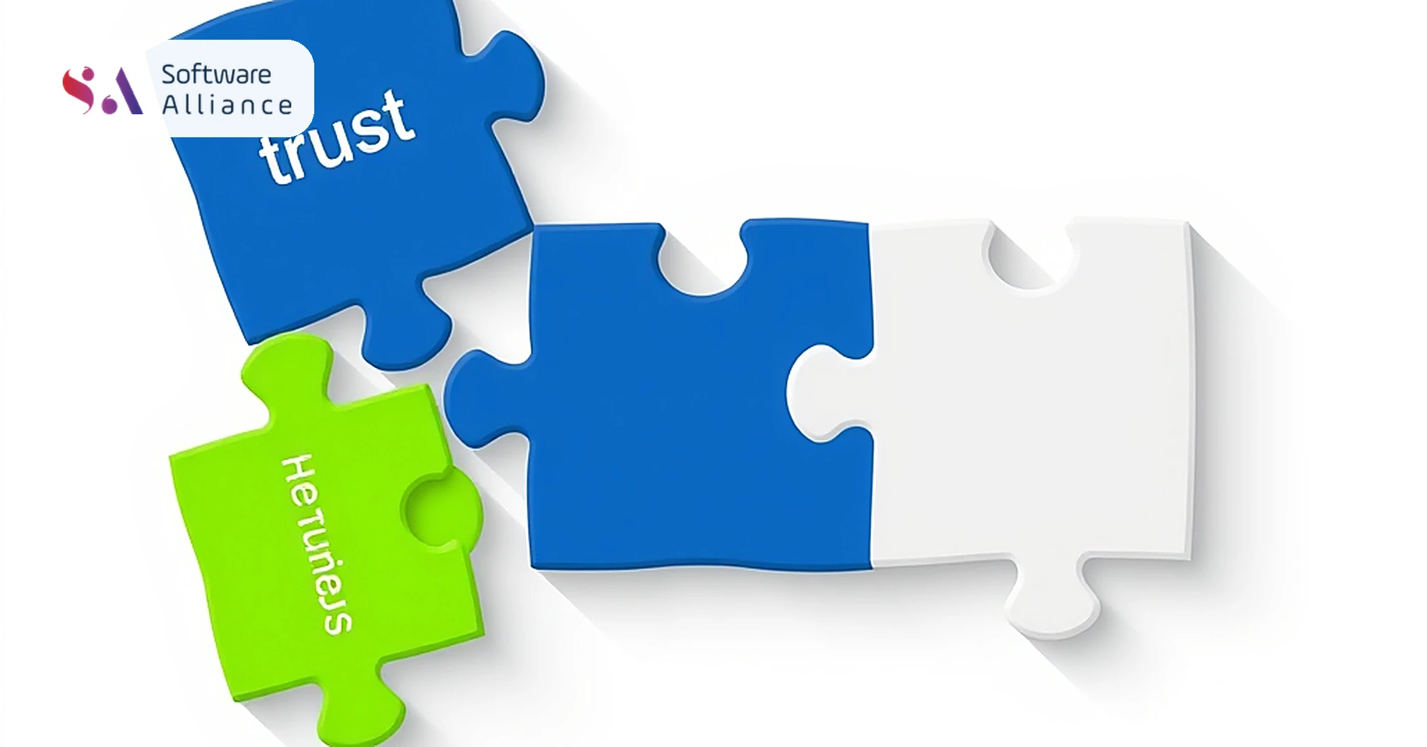 ERP Customization Strategies